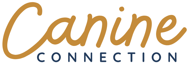 business card 20250809 213501 0000