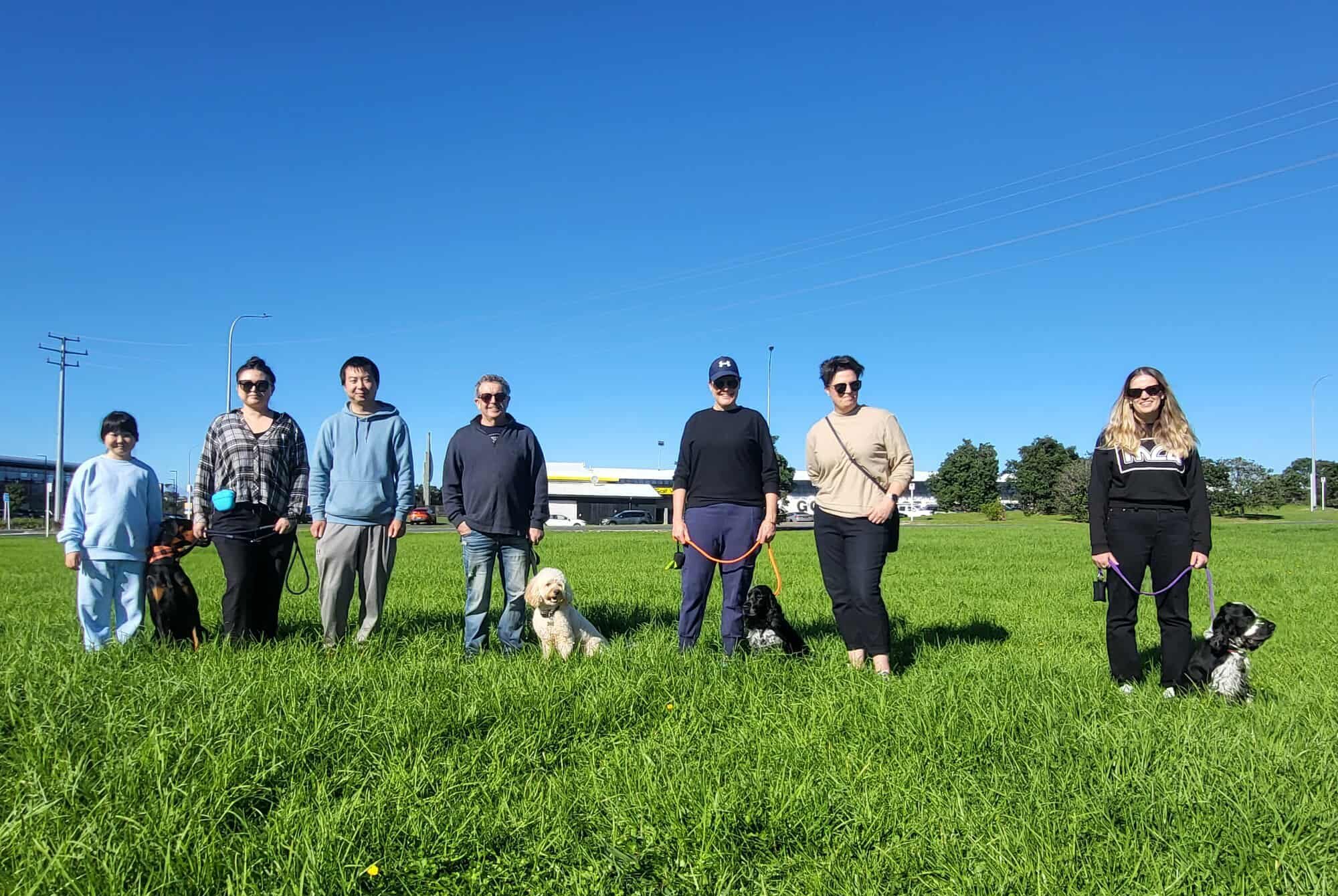 group dog training sessions