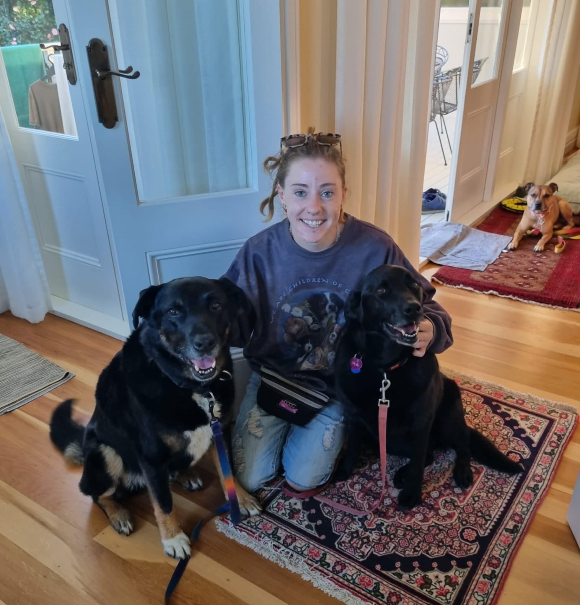 candi training large dogs in birkenhead