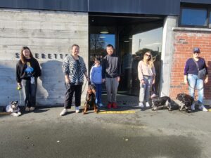 dog training group class