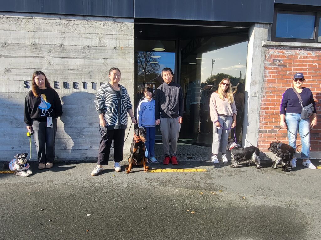 dog training group class