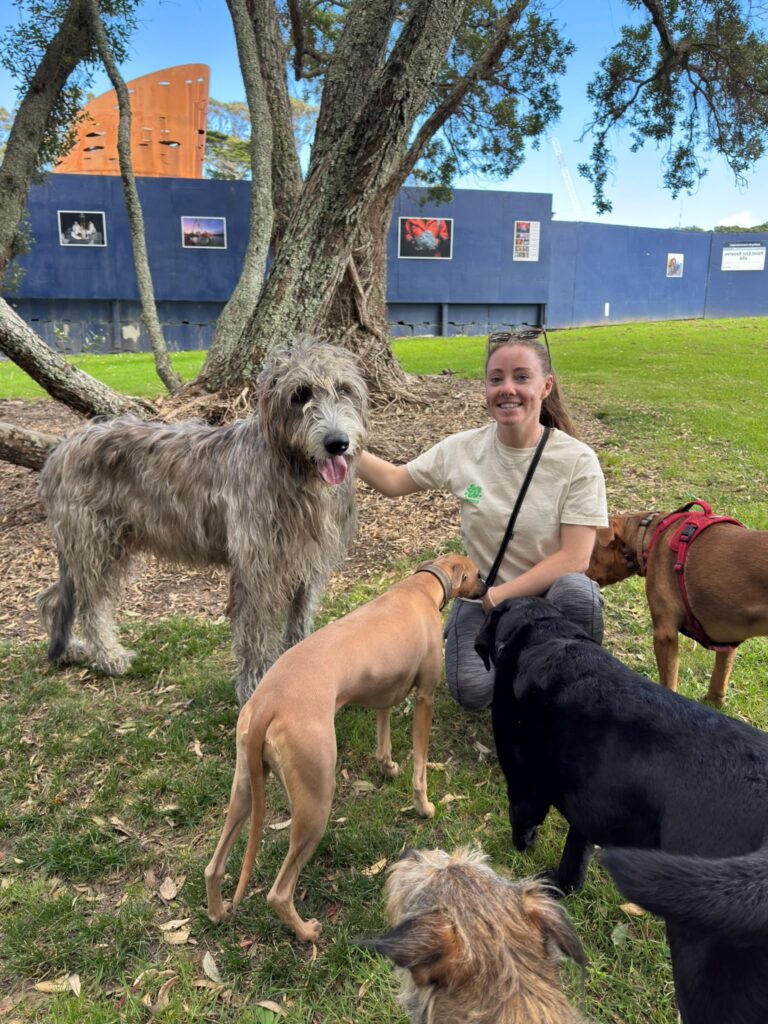 candi and dogs